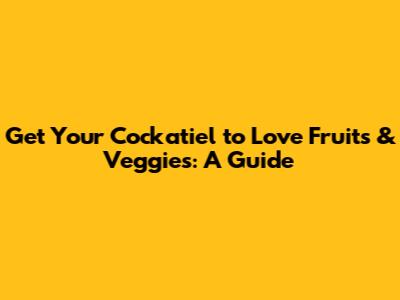 Get Your Cockatiel to Love Fruits & Veggies: A Guide