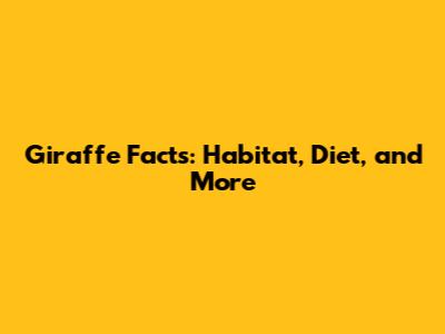 Giraffe Facts: Habitat, Diet, and More