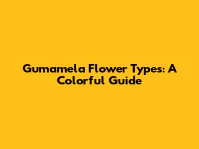 Gumamela Flower Types: A Colorful Guide