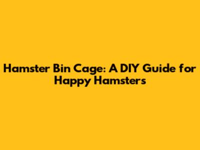 Hamster Bin Cage: A DIY Guide for Happy Hamsters