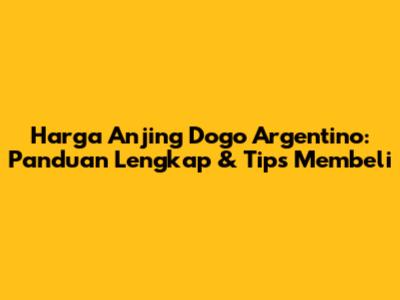Harga Anjing Dogo Argentino: Panduan Lengkap & Tips Membeli