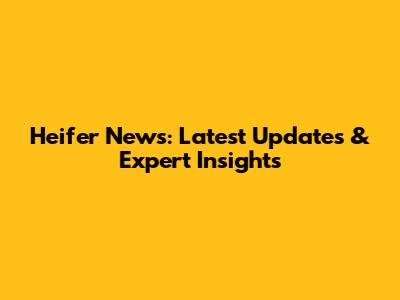 Heifer News: Latest Updates & Expert Insights