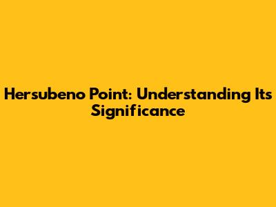 Hersubeno Point: Understanding Its Significance