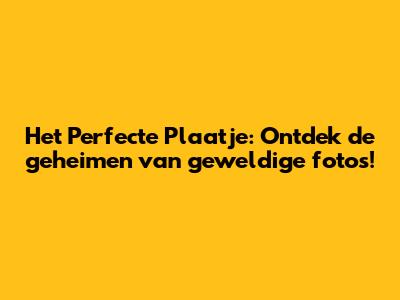Het Perfecte Plaatje: Ontdek de geheimen van geweldige foto's!