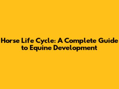 Horse Life Cycle: A Complete Guide to Equine Development