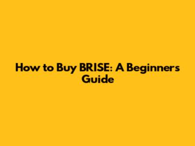 How to Buy BRISE: A Beginner's Guide