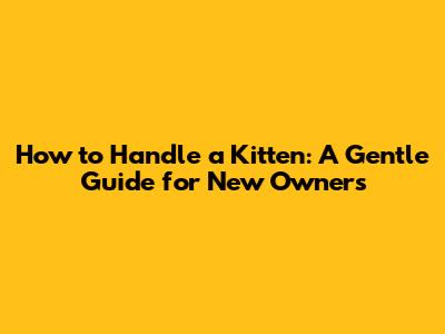 How to Handle a Kitten: A Gentle Guide for New Owners