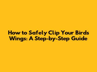 How to Safely Clip Your Bird's Wings: A Step-by-Step Guide