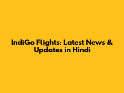IndiGo Flights: Latest News & Updates in Hindi