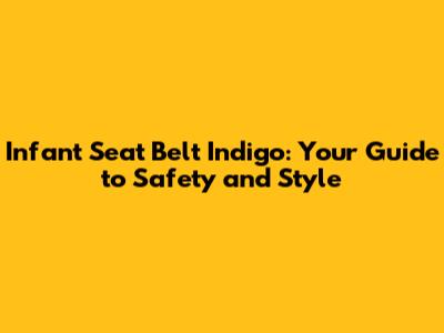 Infant Seat Belt Indigo: Your Guide to Safety and Style