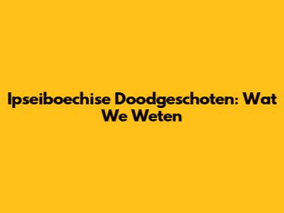 Ipseiboechise Doodgeschoten: Wat We Weten