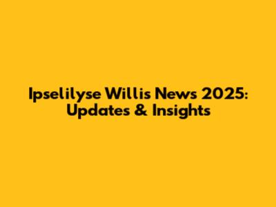 Ipselilyse Willis News 2025: Updates & Insights