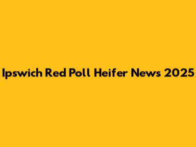 Ipswich Red Poll Heifer News 2025