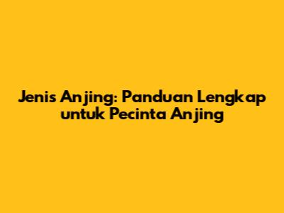 Jenis Anjing: Panduan Lengkap untuk Pecinta Anjing