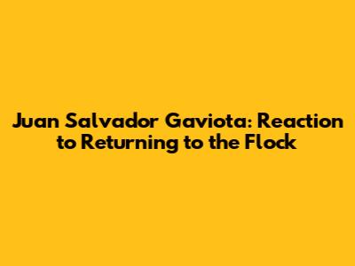 Juan Salvador Gaviota: Reaction to Returning to the Flock