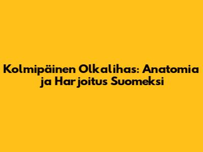 Kolmipäinen Olkalihas: Anatomia ja Harjoitus Suomeksi