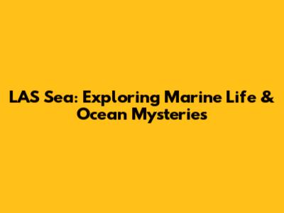 LAS Sea: Exploring Marine Life & Ocean Mysteries