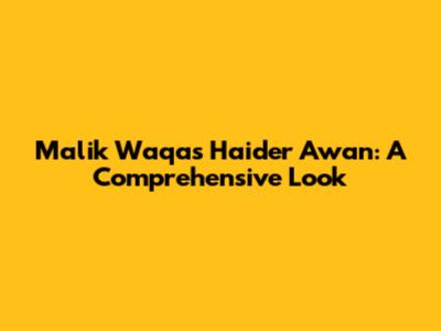 Malik Waqas Haider Awan: A Comprehensive Look