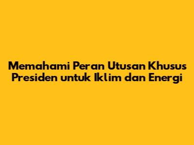 Memahami Peran Utusan Khusus Presiden untuk Iklim dan Energi