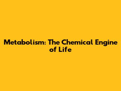 Metabolism: The Chemical Engine of Life