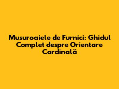 Musuroaiele de Furnici: Ghidul Complet despre Orientare Cardinală