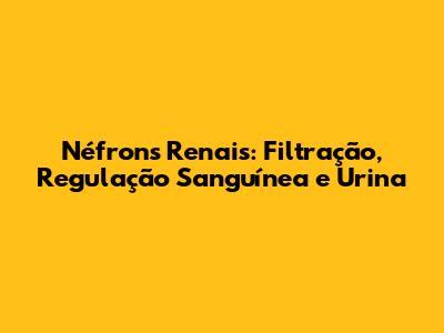 Néfrons Renais: Filtração, Regulação Sanguínea e Urina