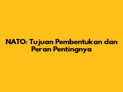 NATO: Tujuan Pembentukan dan Peran Pentingnya