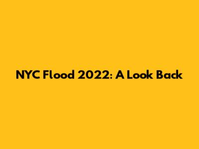 NYC Flood 2022: A Look Back
