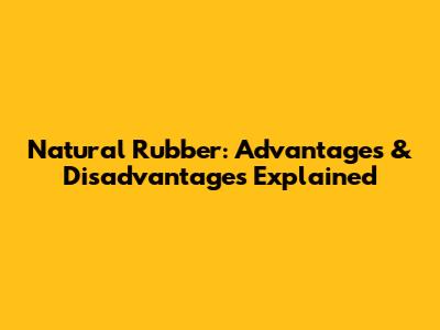 Natural Rubber: Advantages & Disadvantages Explained