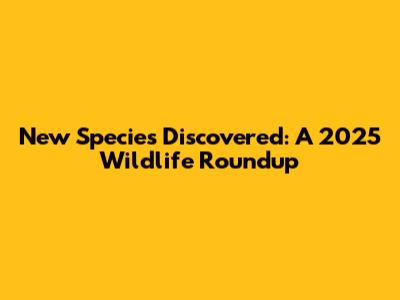 New Species Discovered: A 2025 Wildlife Roundup