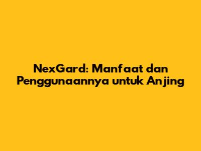 NexGard: Manfaat dan Penggunaannya untuk Anjing