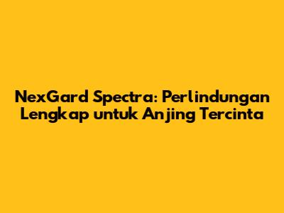 NexGard Spectra: Perlindungan Lengkap untuk Anjing Tercinta