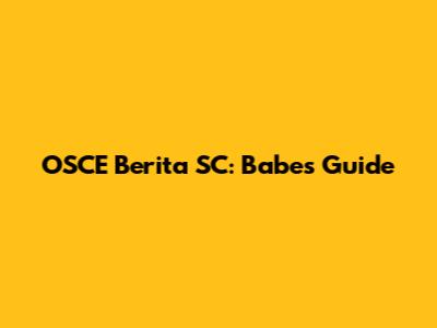 OSCE Berita SC: Babe's Guide
