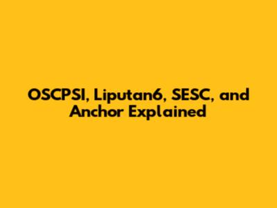 OSCPSI, Liputan6, SESC, and Anchor Explained