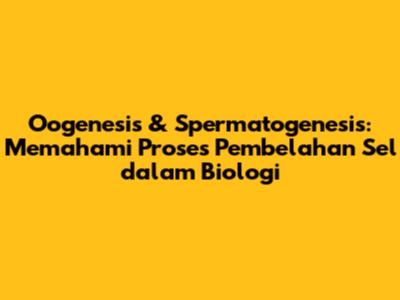 Oogenesis & Spermatogenesis: Memahami Proses Pembelahan Sel dalam Biologi