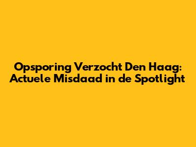 Opsporing Verzocht Den Haag: Actuele Misdaad in de Spotlight