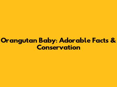 Orangutan Baby: Adorable Facts & Conservation