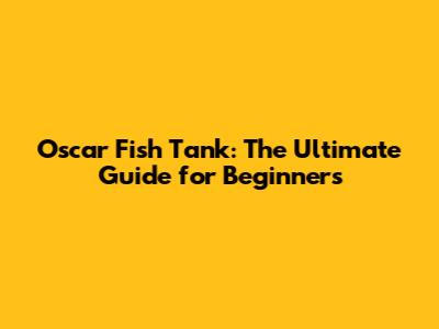 Oscar Fish Tank: The Ultimate Guide for Beginners