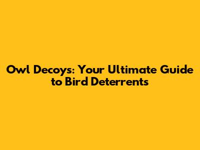 Owl Decoys: Your Ultimate Guide to Bird Deterrents