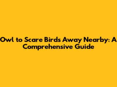 Owl to Scare Birds Away Nearby: A Comprehensive Guide