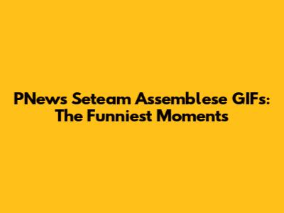 PNews Seteam Assemblese GIFs: The Funniest Moments
