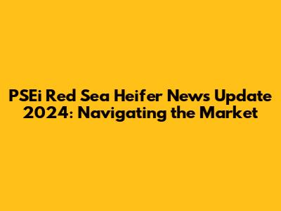 PSEi Red Sea Heifer News Update 2024: Navigating the Market