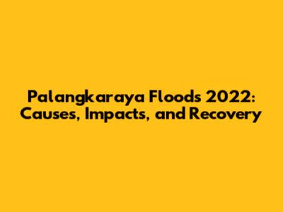 Palangkaraya Floods 2022: Causes, Impacts, and Recovery