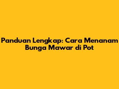 Panduan Lengkap: Cara Menanam Bunga Mawar di Pot