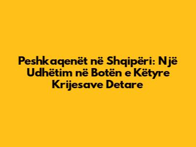Peshkaqenët në Shqipëri: Një Udhëtim në Botën e Këtyre Krijesave Detare