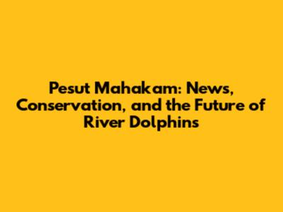 Pesut Mahakam: News, Conservation, and the Future of River Dolphins