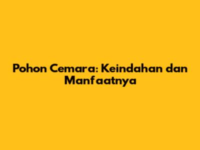 Pohon Cemara: Keindahan dan Manfaatnya