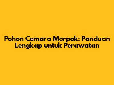 Pohon Cemara Morpok: Panduan Lengkap untuk Perawatan