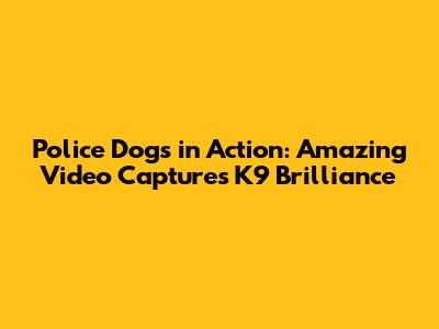Police Dogs in Action: Amazing Video Captures K9 Brilliance