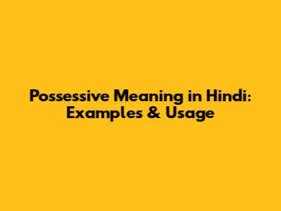 Possessive Meaning in Hindi: Examples & Usage